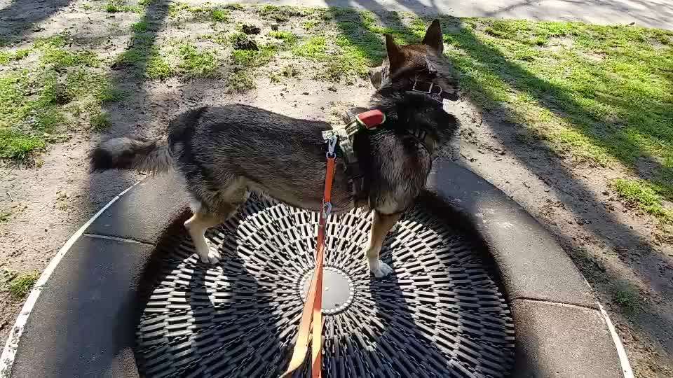 Freddys Kummerkasten-Beitrag-Bild