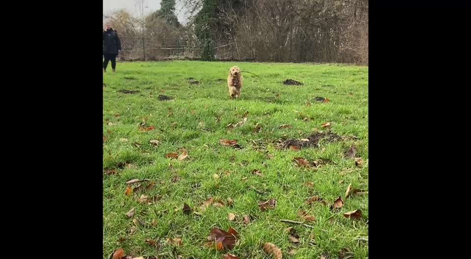 15. Video Challenge.  In SloMo die Welt erkunden!-Beitrag-Bild