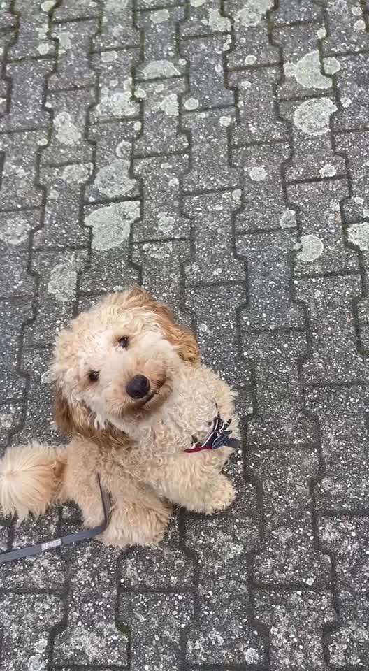 Impulskontrolle Challenge Nr. 10 "Zurücklassen"-Beitrag-Bild