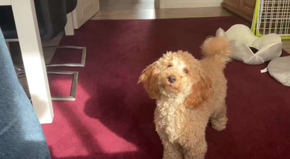 Impulskontrolle Challenge Nr 9 "Unbeobachtet"-Beitrag-Bild