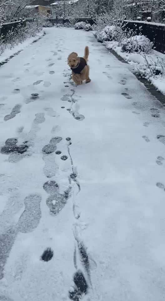 Wiederkehrendes Erbrechen-Beitrag-Bild