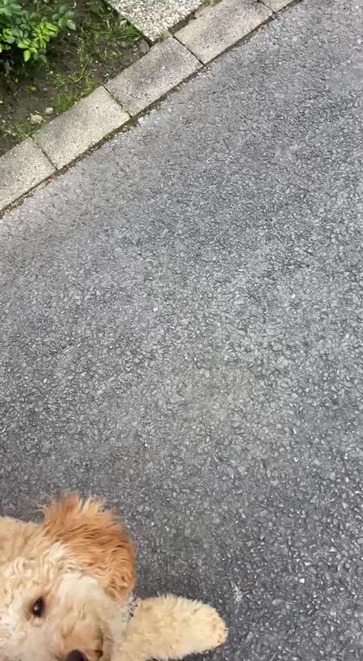 Impulskontrolle Challenge Nr. 10 "Zurücklassen"-Beitrag-Bild