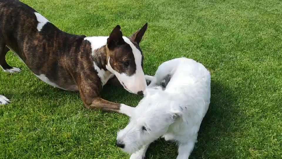 Ungeklärter Rang-Beitrag-Bild