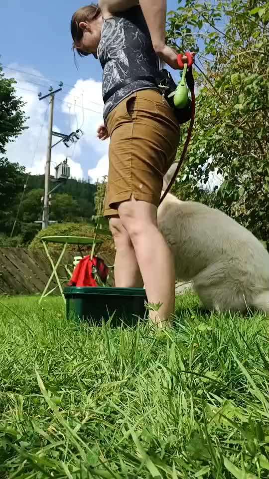 56. Gemeinsames Tricktraining : einein Gegenstand  ruckwärts umrunden-Beitrag-Bild