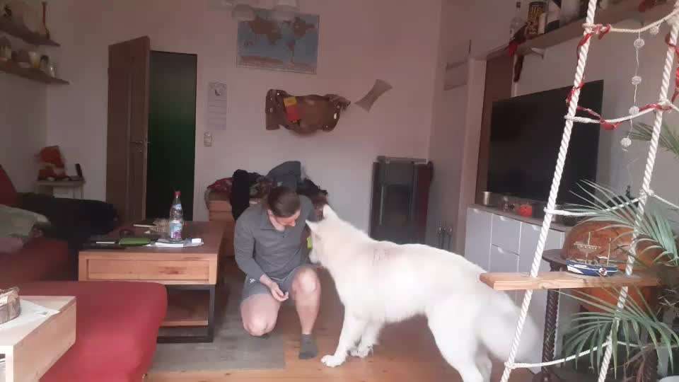 Trickchallenge - ich packe meinen 4. Koffer-Beitrag-Bild