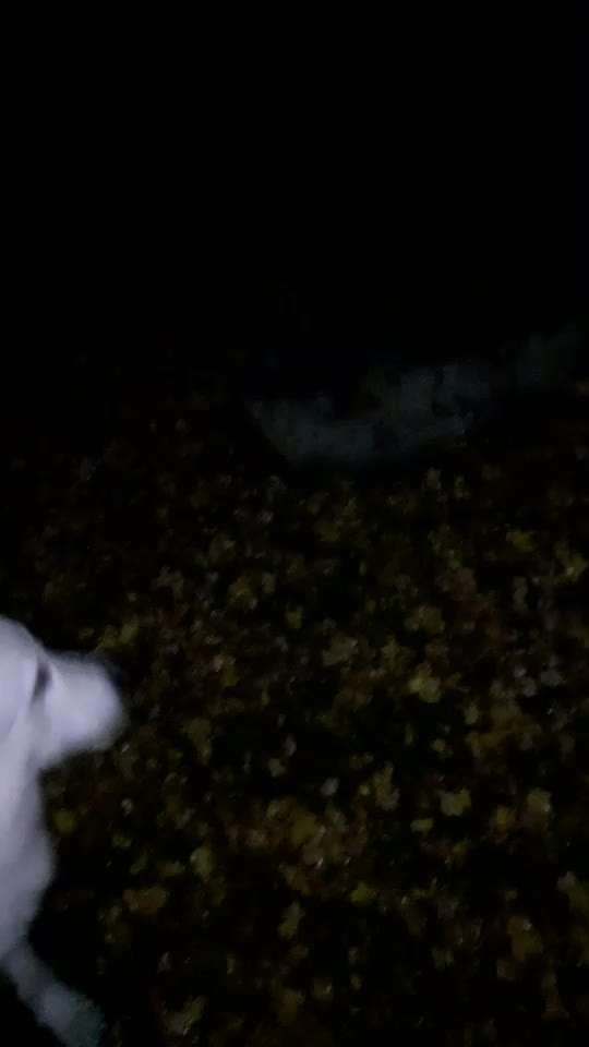 Trick Spiel - ich packe meinen 9. Koffer-Beitrag-Bild