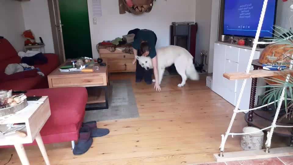 38. Trick Challenge: Slalom durch die Arme-Beitrag-Bild