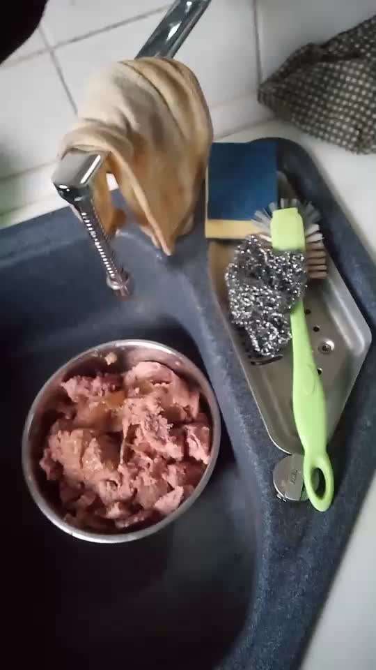 Impulskontrolle Challenge Nr . 6: ohne Befehle-Beitrag-Bild