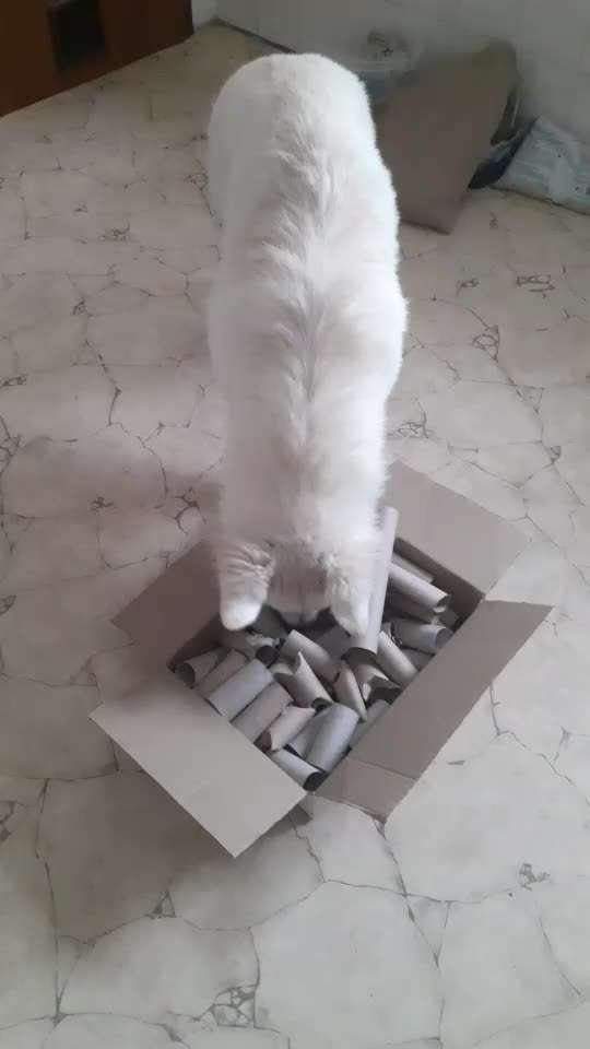 Kopfarbeit ideen für drin-Beitrag-Bild