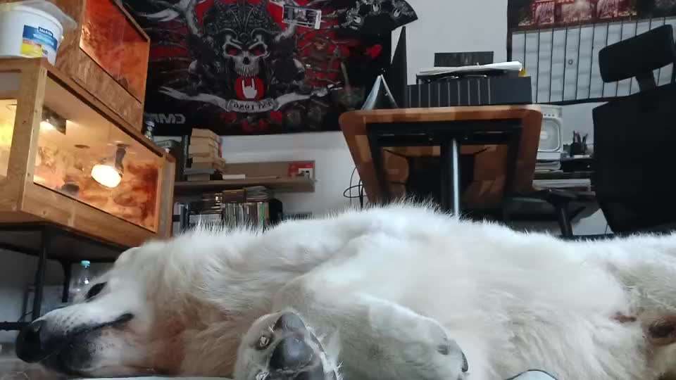 77. Trickspiel - Süß-Beitrag-Bild