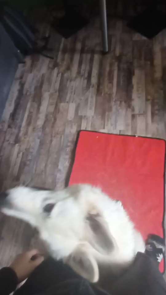 47. Rückwärts Einparken-Beitrag-Bild