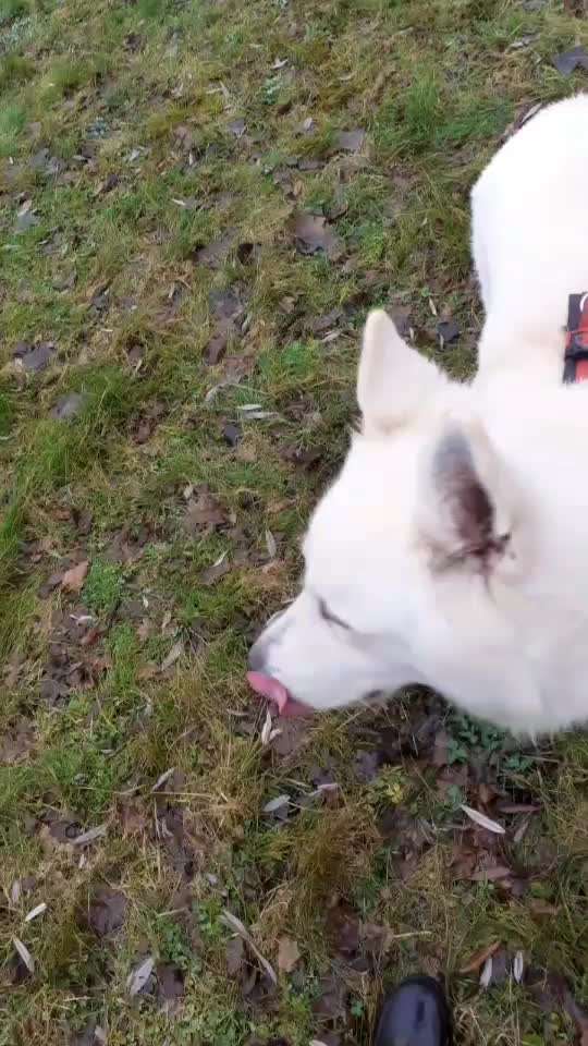 Koffer Packen: Spezial Weihnachtsedition-Beitrag-Bild