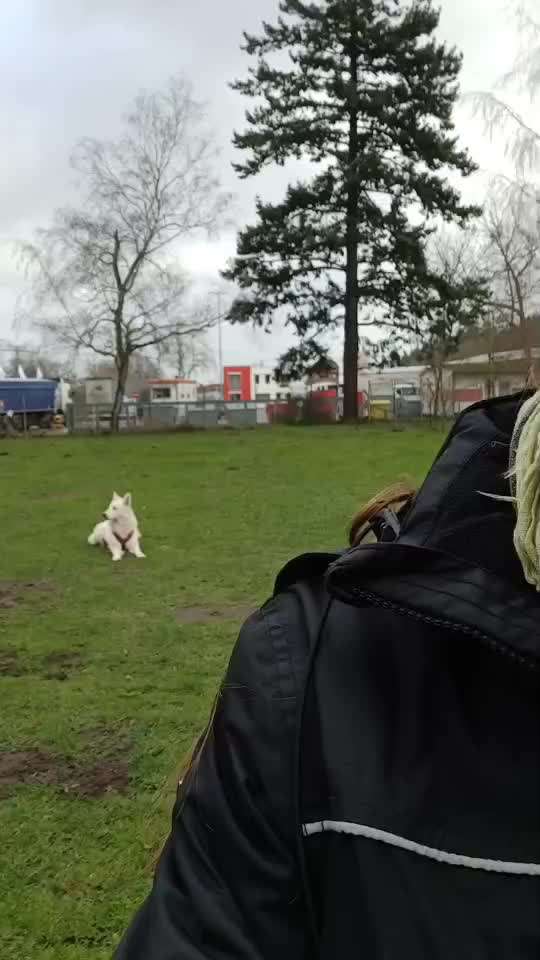 82. Trickspiel : Bleib!-Beitrag-Bild