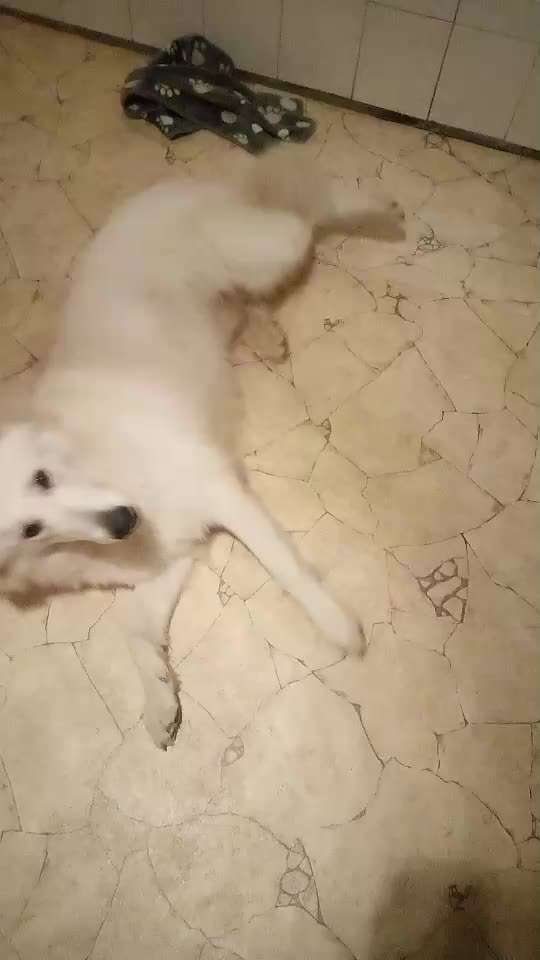 Trick Challenge ABC-Beitrag-Bild