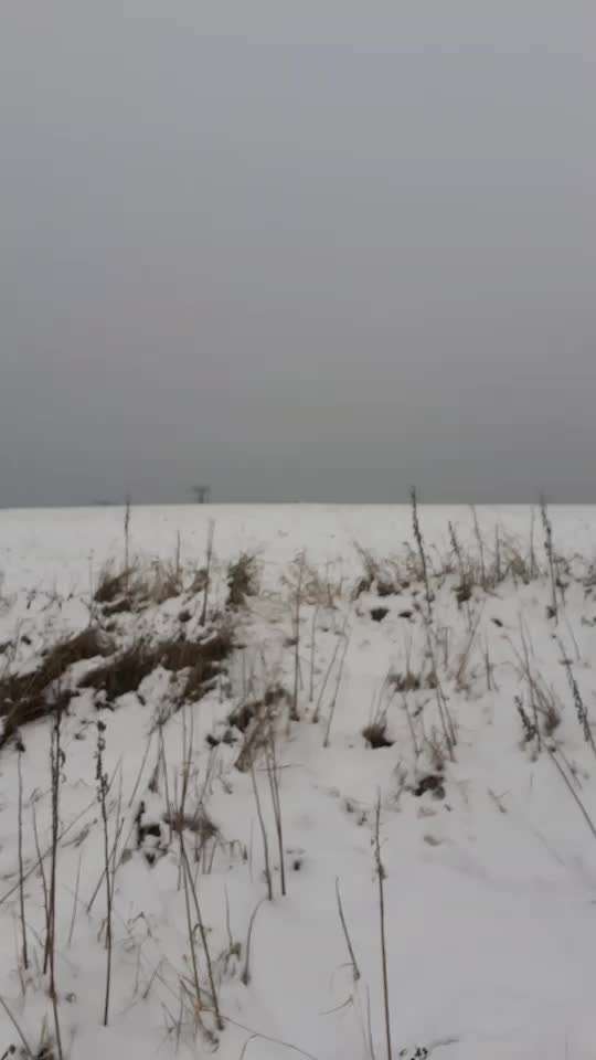 Gemeinsame Impulkontrolle Übung Nr.24-Beitrag-Bild