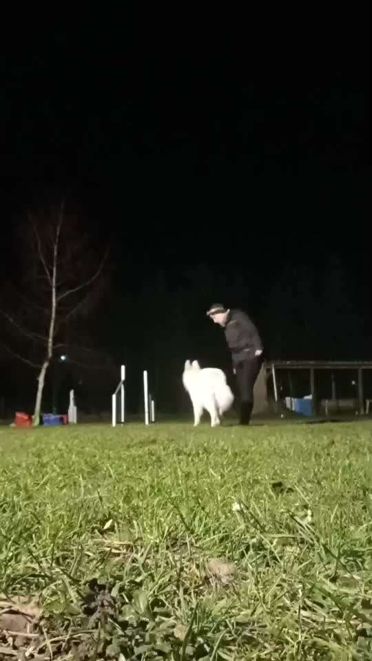 82. Trickspiel : Bleib!-Beitrag-Bild