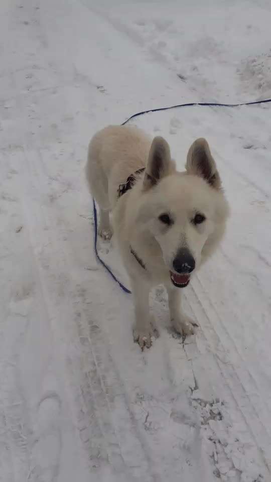 Gemeinsame Impulkontrolle Übung Nr.24-Beitrag-Bild