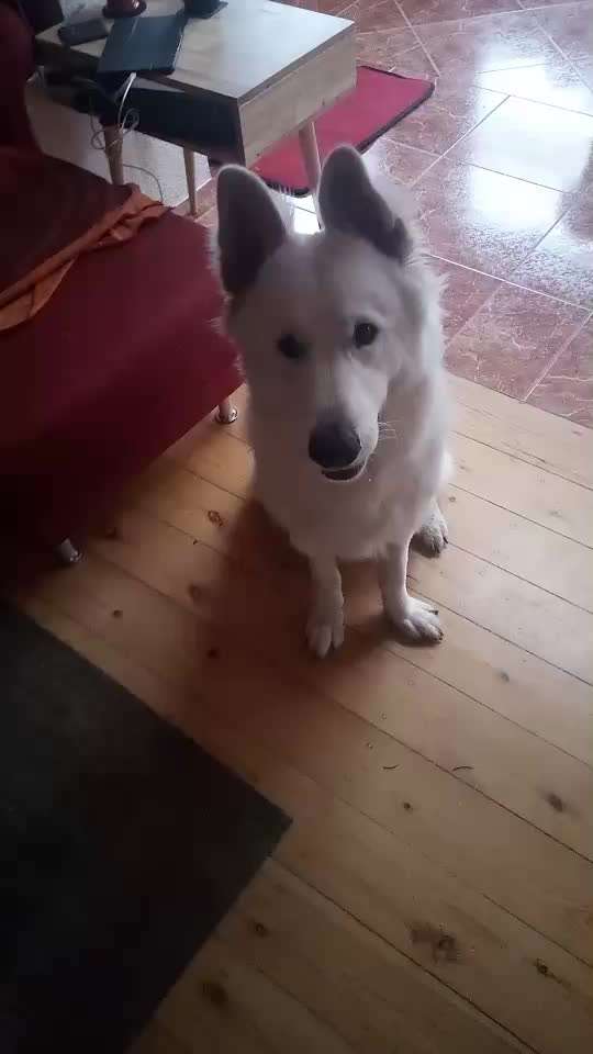 Trick Challenge ABC-Beitrag-Bild