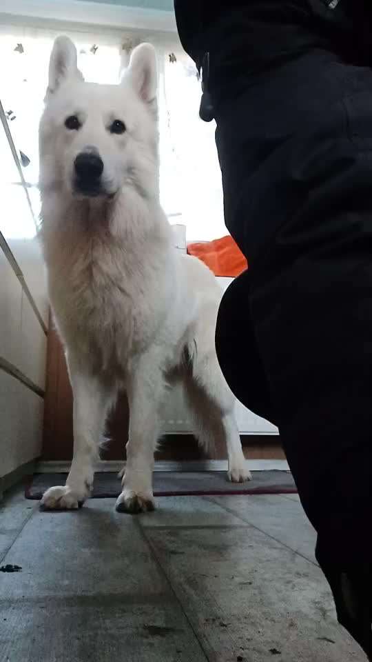 49. Impulskontrolle Challenge: Anziehen-Beitrag-Bild