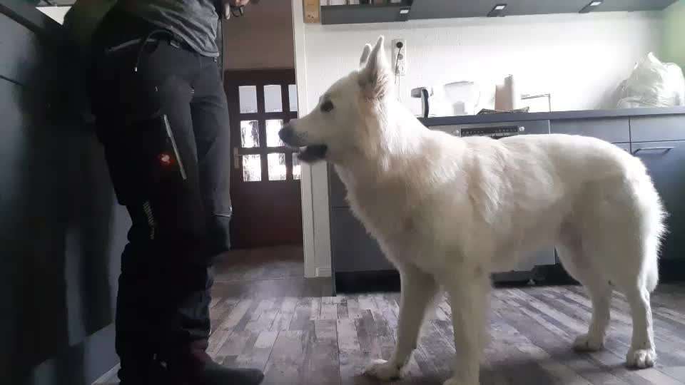 Trick Challenge 13 - Etwas Halten-Beitrag-Bild