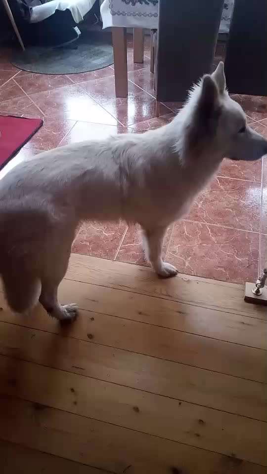 Trick Challenge ABC-Beitrag-Bild