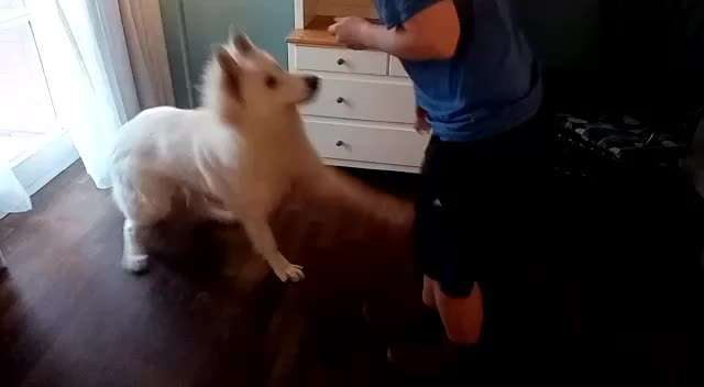 Trickchallenge Nr. 25 "Spanischer Schritt"-Beitrag-Bild