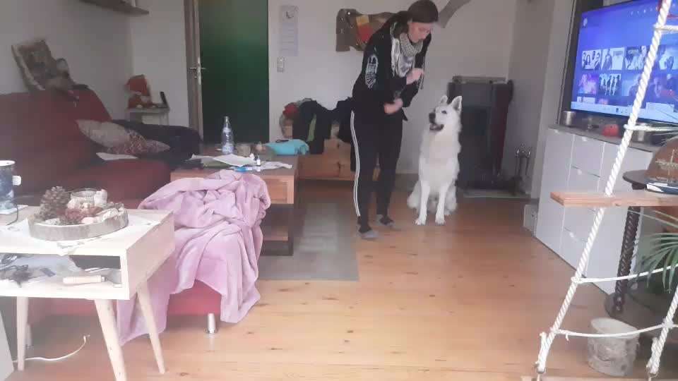 38. Trick Challenge: Slalom durch die Arme-Beitrag-Bild