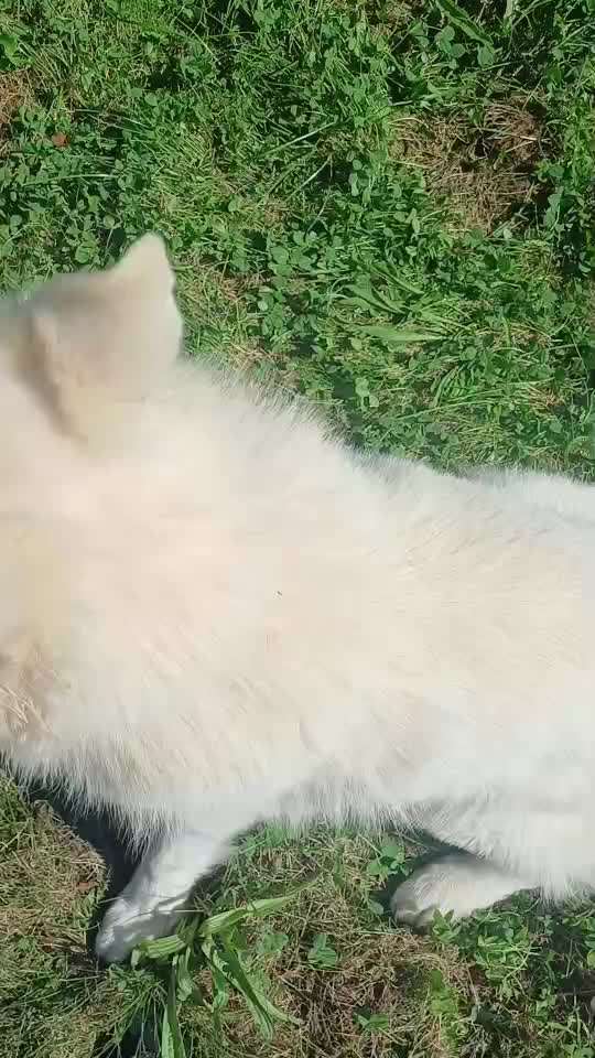 77. Trickspiel - Süß-Beitrag-Bild