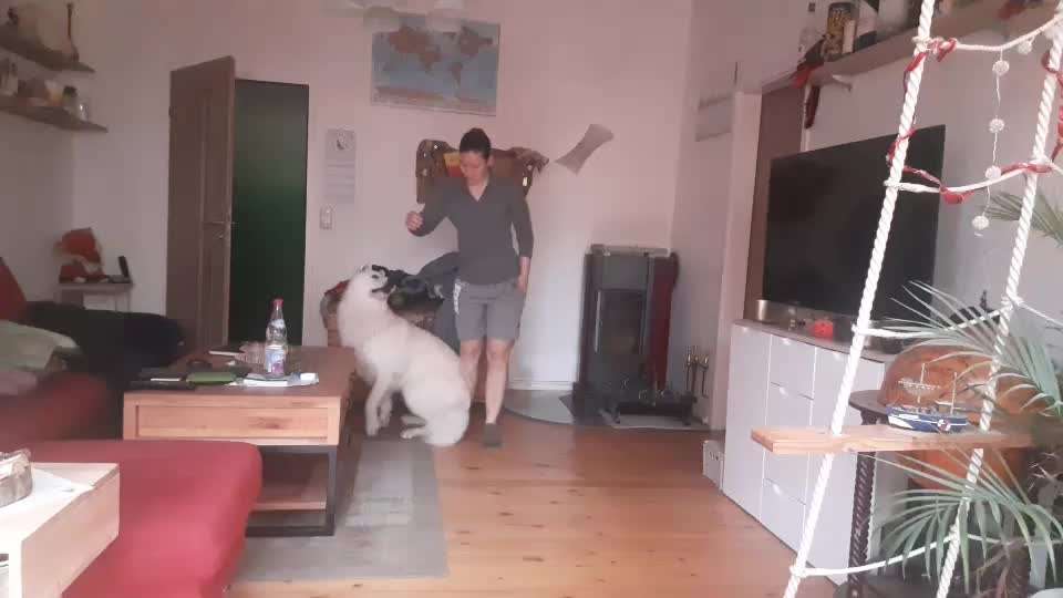 Trickchallenge - ich packe meinen 4. Koffer-Beitrag-Bild