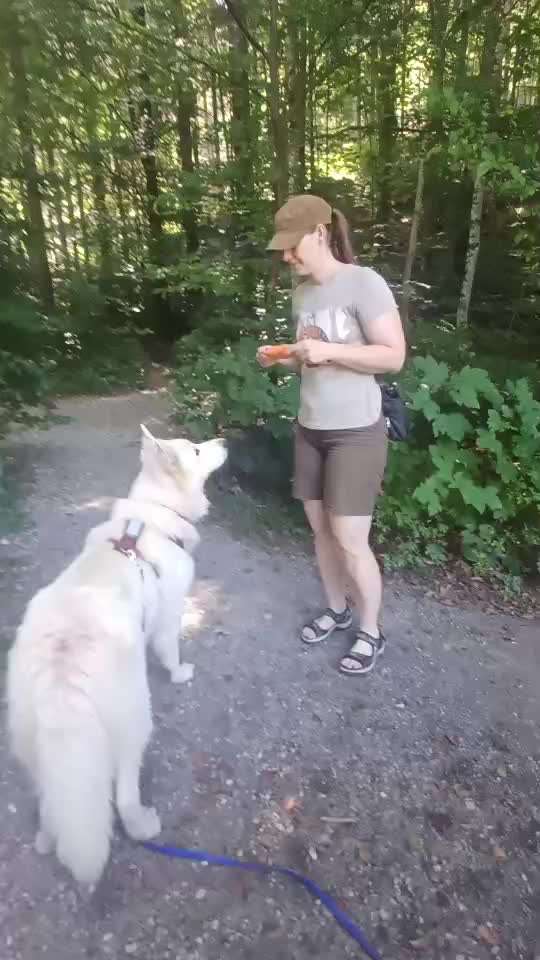 75.Trickchallenge: Bring etwas einer Person-Beitrag-Bild