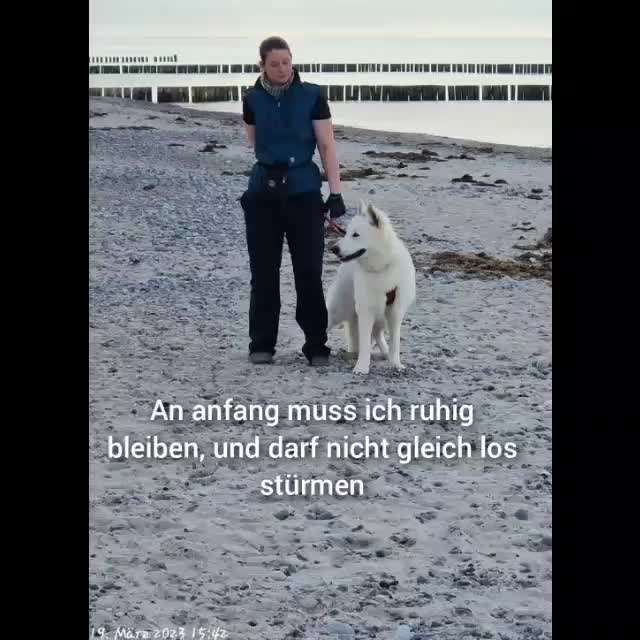 7. Kurzgeschichten Challenge: Spaziergang am Strand-Beitrag-Bild