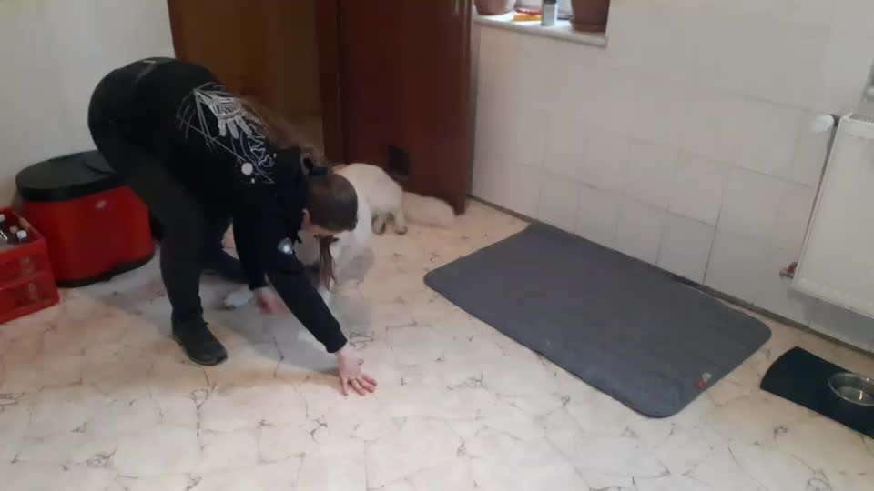 Veteranenzone - Koffer packen für fortgeschrittene-Beitrag-Bild