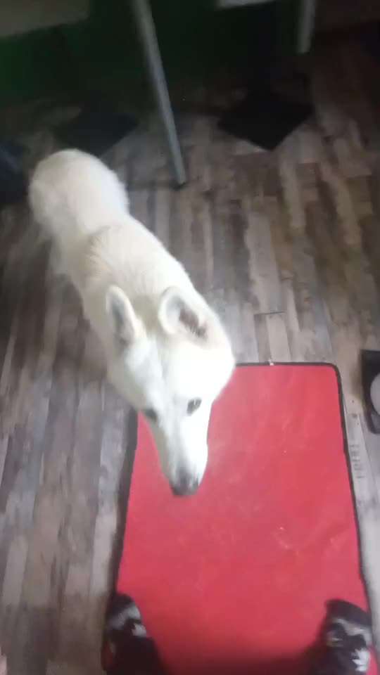 47. Rückwärts Einparken-Beitrag-Bild