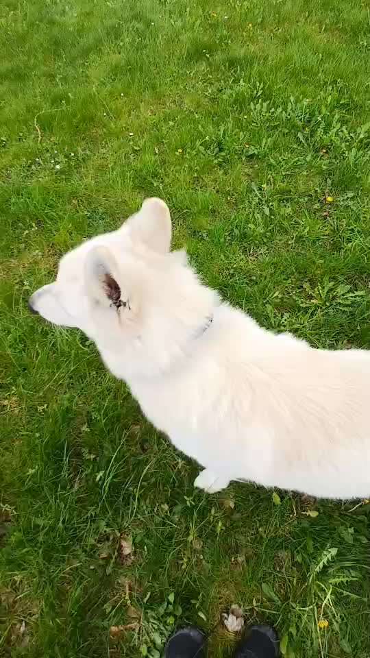 Trick Spiel - Koffer packen - der 17.-Beitrag-Bild