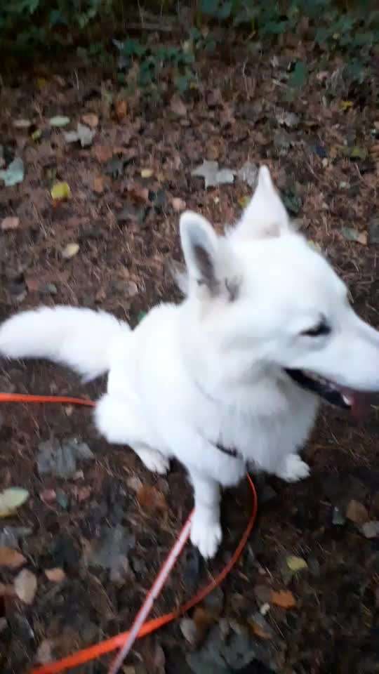 Trickchallenge - ich packe meinen 5. Koffer-Beitrag-Bild