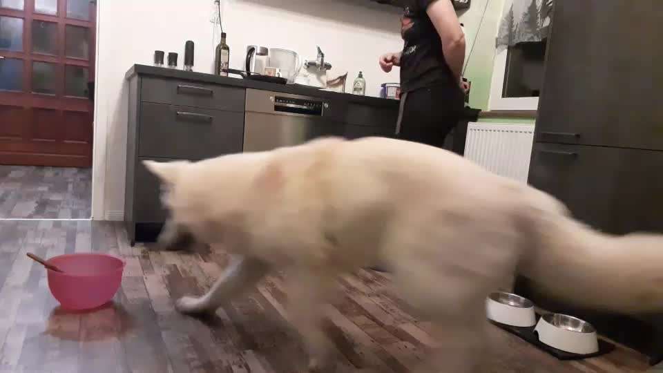 Trick Adventskalender-Beitrag-Bild