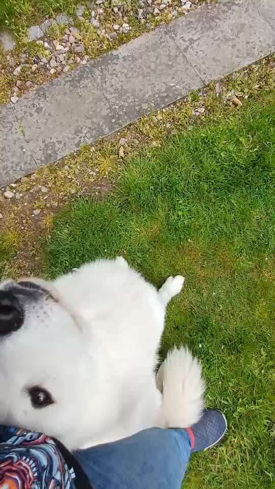 Trick Spiel - Koffer packen - der 18.-Beitrag-Bild