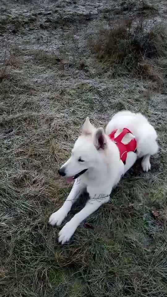 Trick Challenge ABC-Beitrag-Bild