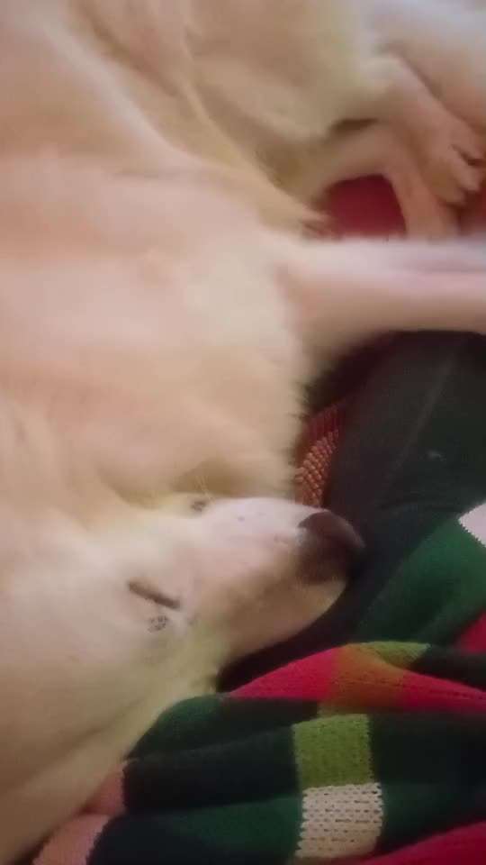 82. Trickspiel : Bleib!-Beitrag-Bild