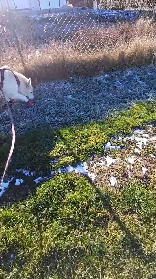 49. Impulskontrolle Challenge: Anziehen-Beitrag-Bild