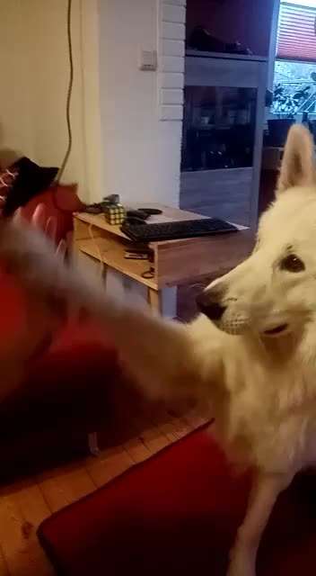 Trick Challenge ABC-Beitrag-Bild