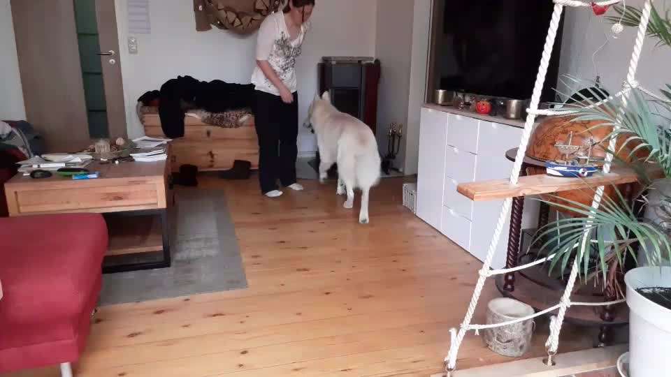 38. Trick Challenge: Slalom durch die Arme-Beitrag-Bild