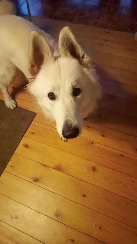 Trick Challenge ABC-Beitrag-Bild