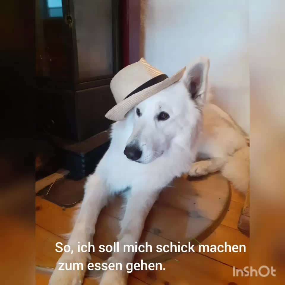 13. Kurzgeschichten Challenge - Dinner for one-Beitrag-Bild