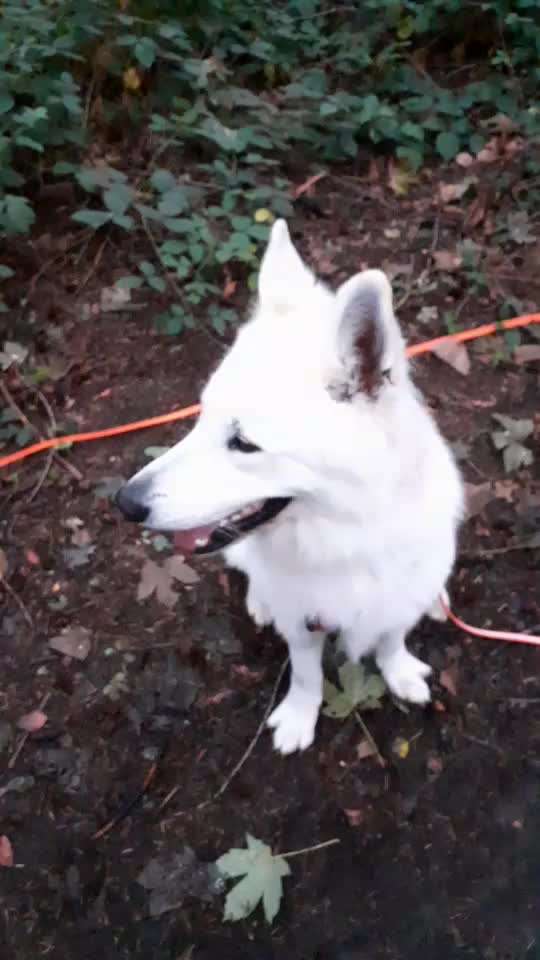 Trickchallenge - ich packe meinen 5. Koffer-Beitrag-Bild