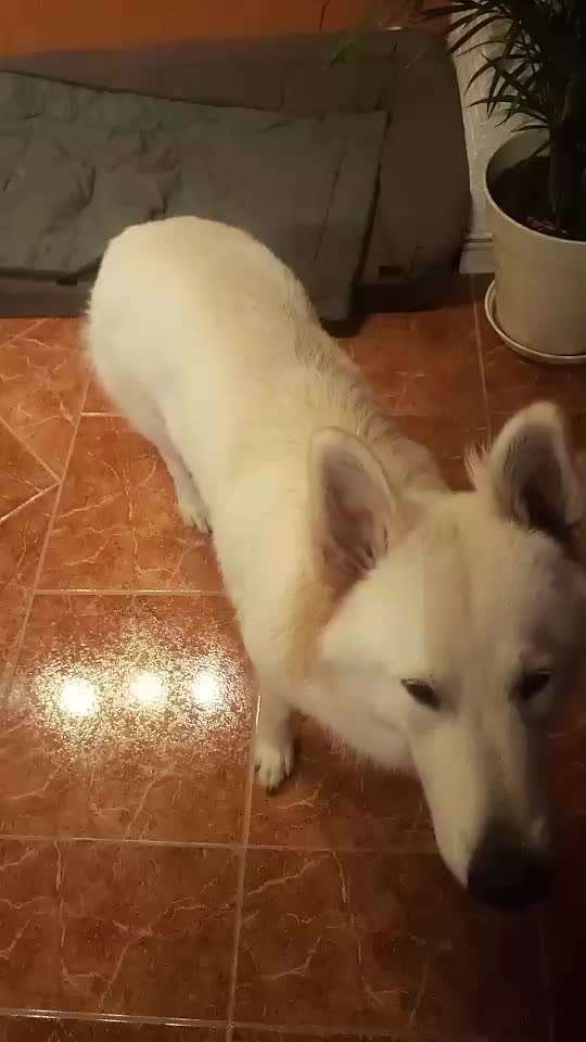 Trick Challenge ABC-Beitrag-Bild