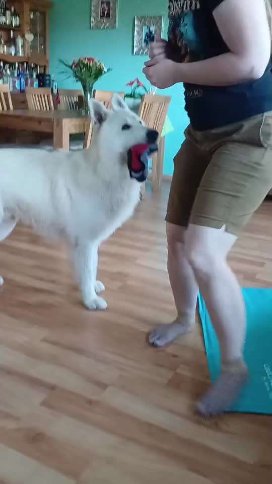 75.Trickchallenge: Bring etwas einer Person-Beitrag-Bild