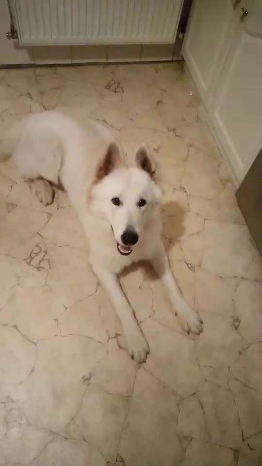 Trick Challenge ABC-Beitrag-Bild