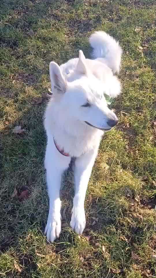 Trick Spiel - Koffer packen - der 14.-Beitrag-Bild