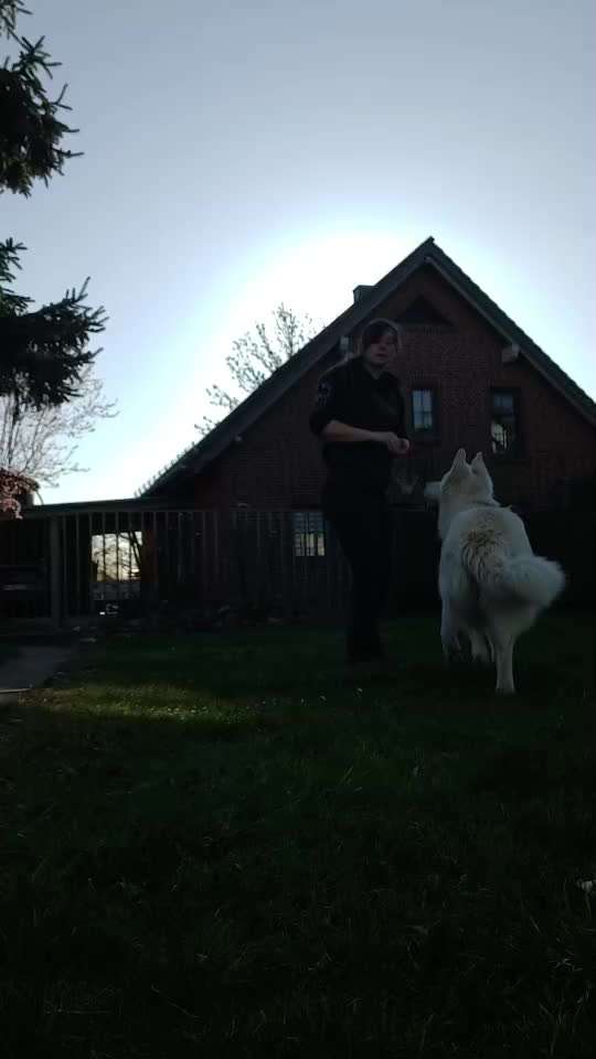 Trickchallenge Nr.86: Spiegelbild-Beitrag-Bild